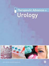 Therapeutic Advances in Urology雜志封面